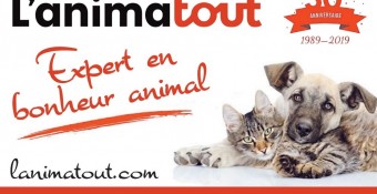 L'Animatout