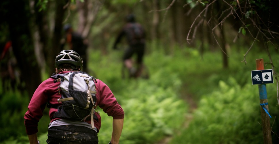 Vélo de montagne