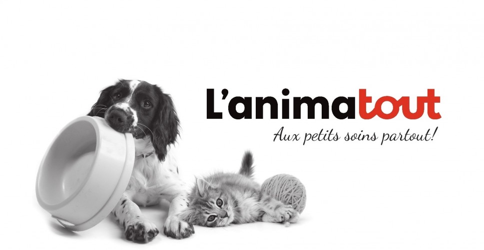 L\'animatout - Aux petits soins partout !